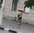 Управление МЧС  по г. Шахты  рекомендует шахтинцам не выходить из дома в грозу - Шахтинские известия