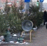 Алексей Логвиненко: В Ростове с 1 декабря заработают 30 елочных базаров - DonDay-Shakhty.Ru