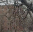 В Ростовской области 5 марта ожидается ураганный ветер и потепление - DonDay-Shakhty.Ru