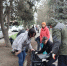 В Шахтах проходит общегородской субботник - Шахтинские известия