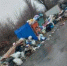 В Новошахтинске по требованию прокуратуры ликвидировали свалку у многоквартирных домов - DonDay-Shakhty.Ru