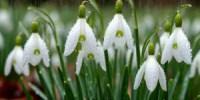 Синоптики обещают жителям Шахт грозы и дожди на выходных 28 и 29 июня - DonDay-Shakhty.Ru